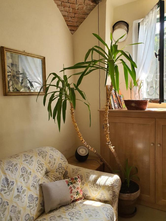 Il Casolare Del Medio Olona Bed & Breakfast Fagnano Olona ภายนอก รูปภาพ